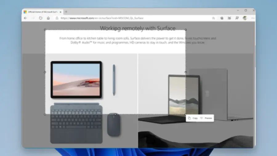 Edge - Microsoft Edge Screenshot 02